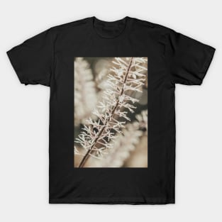 Botanical Abstract 2 T-Shirt